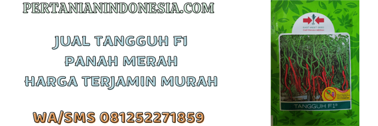 jual,murah,terjangkau,toko pertanian terdekat,pertanian indonesia